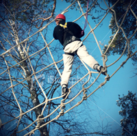 Man climbing in net